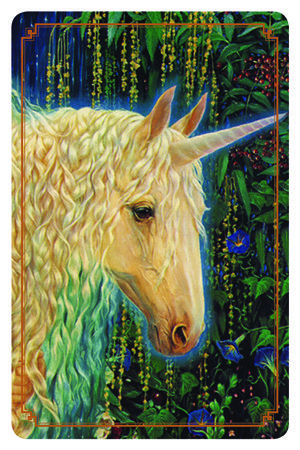 I Messaggi degli Unicorni