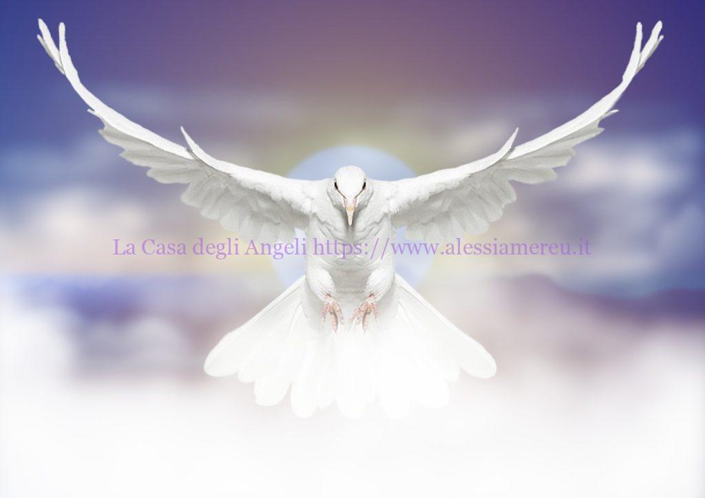 I segnali degli Angeli Candele Colomba ~ I segnali degli Angeli